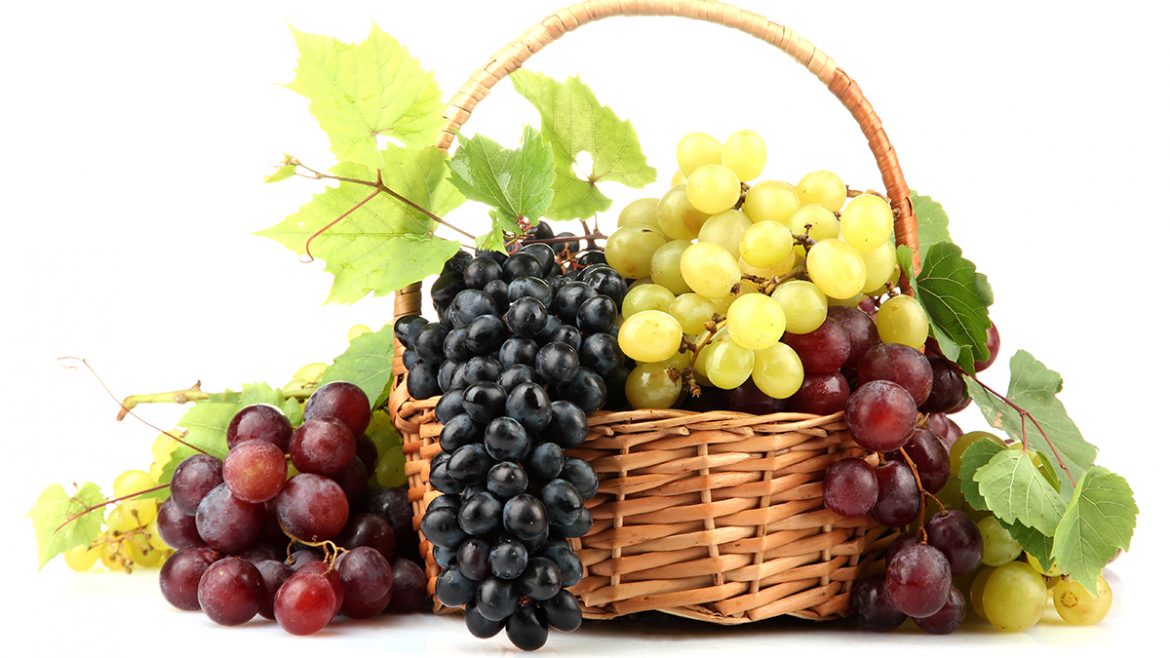 Uvas Nochevieja Año nuevo