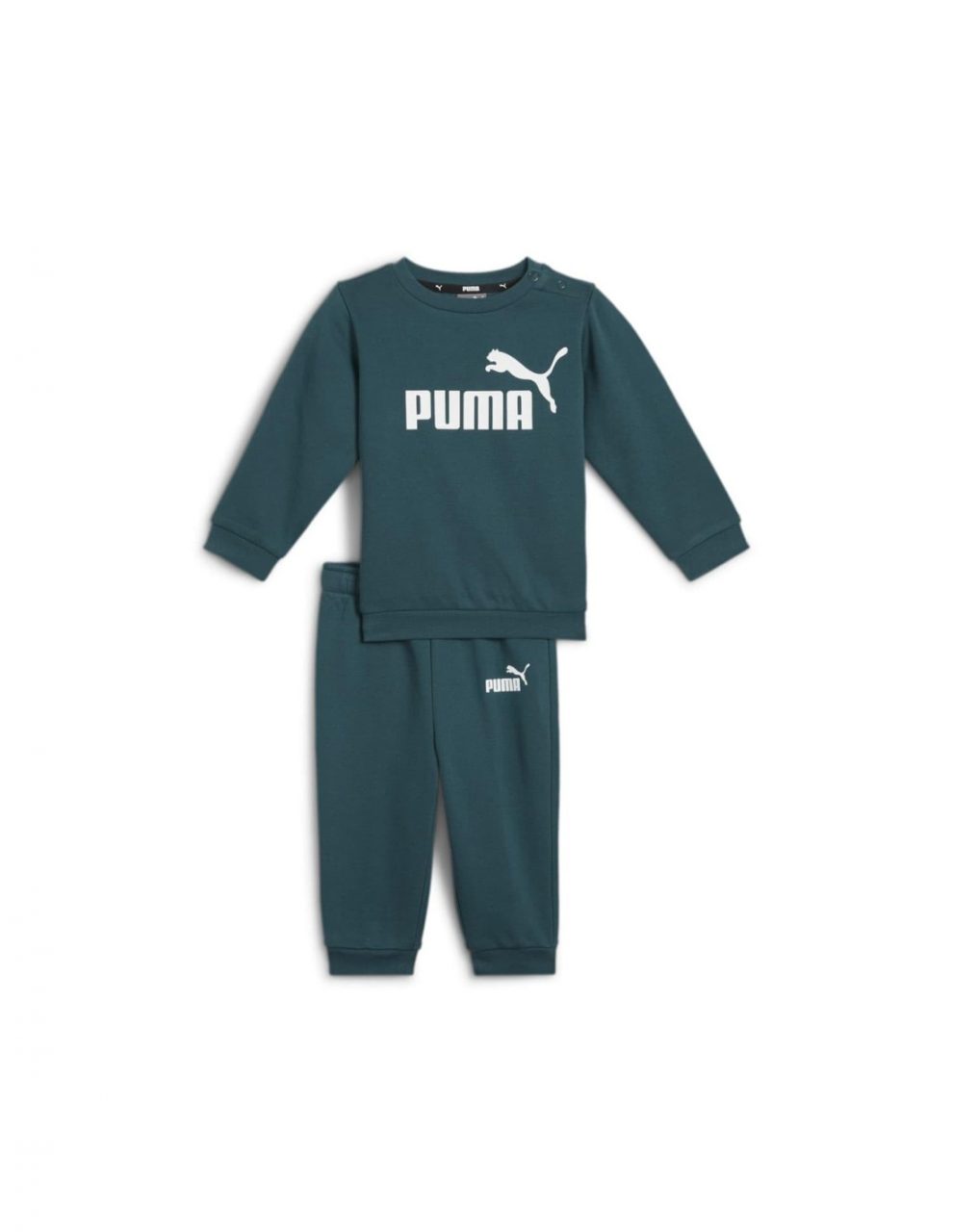 CHÁNDAL NIÑO PUMA MINICATS ESSENTIALS CREW