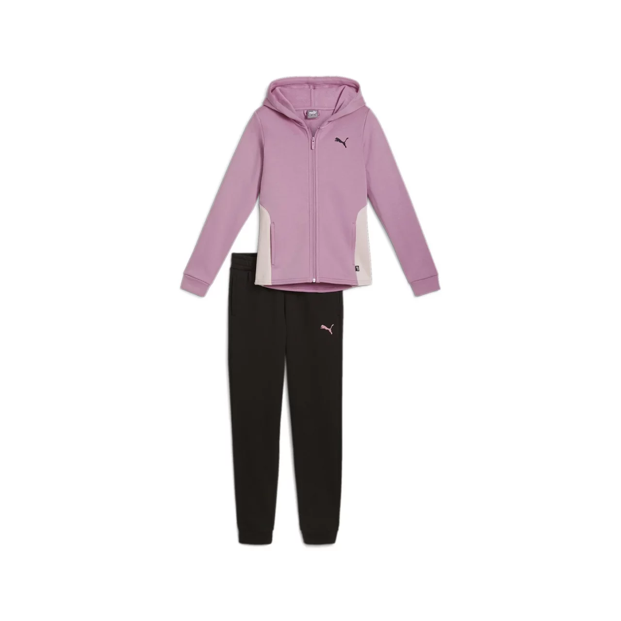 CHÁNDAL PUMA HOODED SWEAT FL